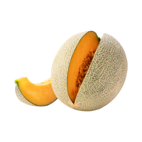 Fresh Organic Melon Fruit