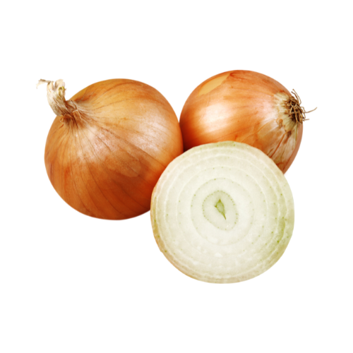 Hand-Picked Daily Onion Vegetable