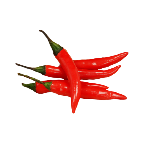 Hand-Picked Daily Chili Pepper Vegetable