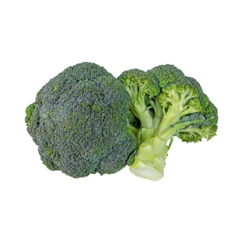 Hand-Picked Daily Broccoli Vegetable